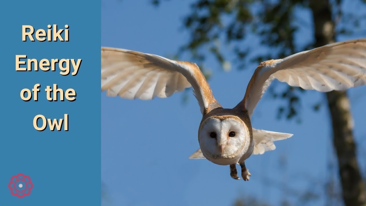 Reiki with the Energy of the Owl 💮 YouTube