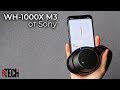 Лучшие наушники с активным шумодавом? Полный обзор Sony WH-1000X M3 и опыт использования