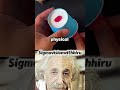 SIGMA PHYSICAL TEACHER #experiment #sigma #physics