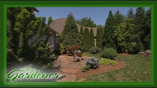 Landscape that provides Seclusion in an Urban Setting | Volunteer Gardener