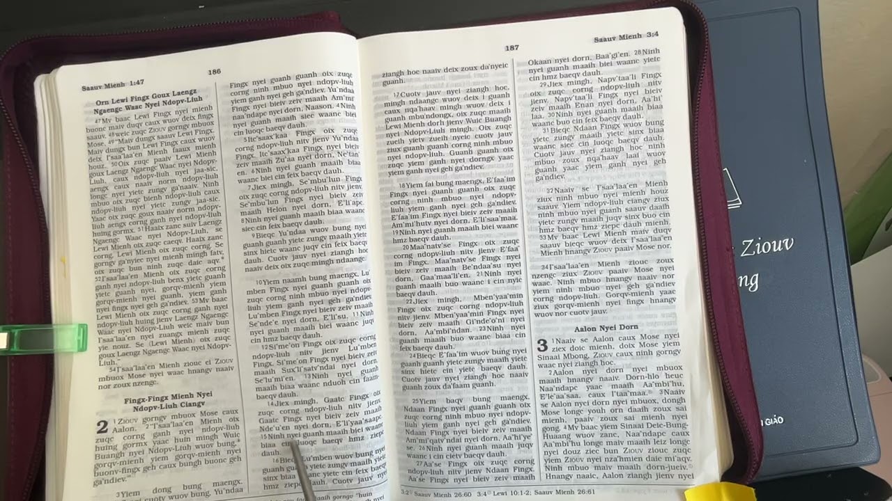 Doqc ging sou yiem Saauv mienh 2:1-34