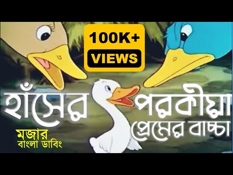 ভিডিও: সিলি সিম্ফনি সুইংস রাইড: আপনার যা জানা দরকার