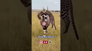 Namağlup Ama Hep İkinci Liderlik Hayali 2 Haftada Buhar Oldu I