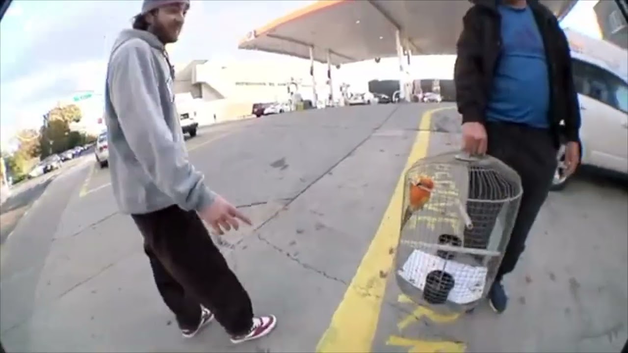 Dick Rizzo - Prelude to a Summer