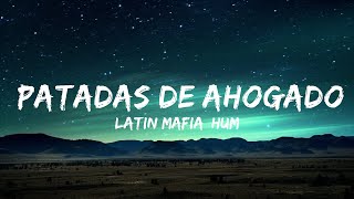 1 Hour |  LATIN MAFIA, Humbe - Patadas de Ahogado (Letra/Lyrics)  | Lyrics Universe