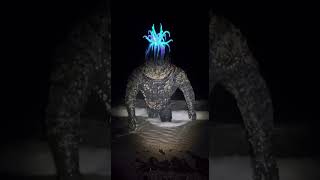 Disturbing Viral Sighting: Strange Sea Creature Emerges at Night