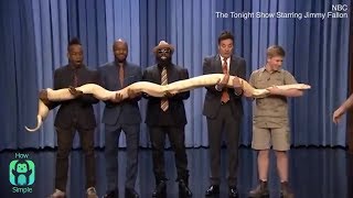 Jimmy  Fallon petrified with fear by Robert Irwin's Burmese python