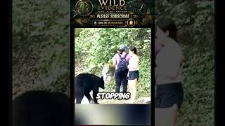 Incredible Animals Moments !