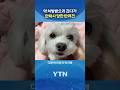 동물병원의 황당한 실수 #shorts / YTN