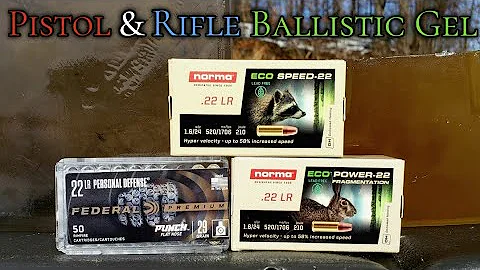 Norma Eco Speed-22 & Eco Power 22 .22LR Ballistic ...