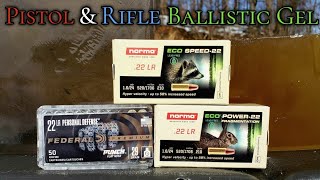 Norma Eco Speed-22 & Eco Power 22 .22LR Ballistic Gel Test - Federal Punch 22 LR