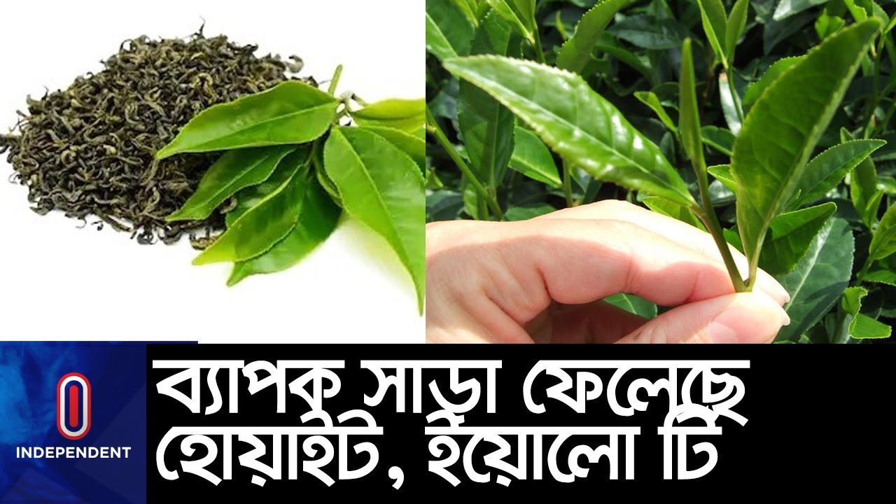 উচ্চমান ও স্বাস্থ্যকর হওয়ায় দামও চড়া || White Tea || Yellow Tea