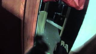 Strikeforce Sports Nyz Montage