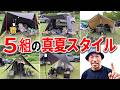 猛暑でも快適!夏キャンプの方法と暑さ問題を克服するベテランキャンパーのキャンプ術5選
