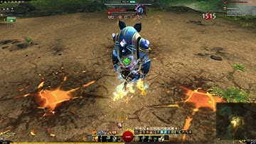 Gw2: Condi Hammer Catalyst - First Tests | 43k