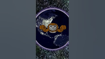 My brain when I need to sleep #gorillatag #animation