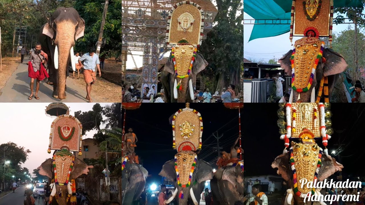 കല്ലേപ്പുള്ളി കുമ്മാട്ടി മഹോത്സവം 2026 🔥 || Kalleppully Kummatti Maholsavam 2026 🔥