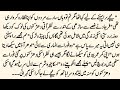 Bold Romantic Novel "سنو چندہ" Age Difference based Forced Marriage Base Complete Romantic Novel