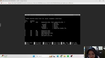 konfigurasi DNS, FTP, File, web server & database server pada web proxmox