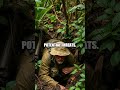 Mastering Camouflage and Concealment in the Wilderness