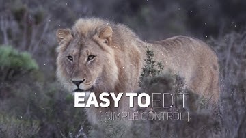 Epic Parallax | Openers - Envato elements