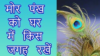 मोर पंख को घर में किस जगह रखें || Where to keep the peacock feather at home  according to astrology - YouTube
