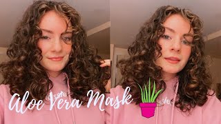 Trying a DIY aloe vera and avocado oil hair mask for shine &amp; hair growth!