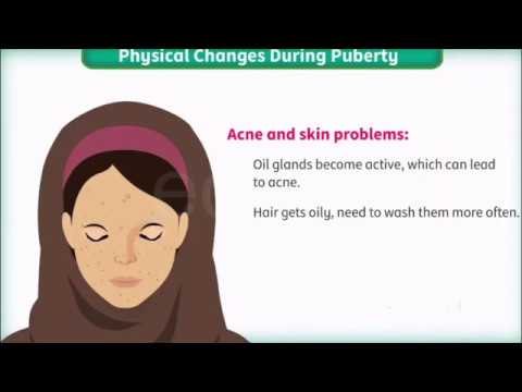 Physical Changes during puberty || HPE || Animated Video