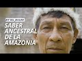 Kit del jaguar  saber ancestral del amazonas