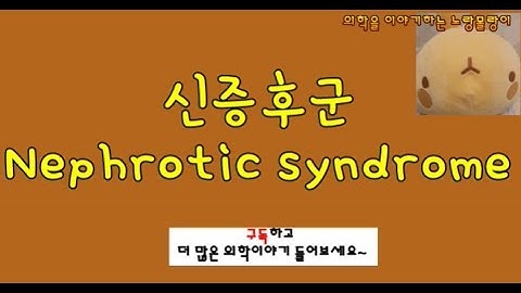 신증후군(콩팥증후군, nephrotic syndrome)