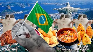 Cat memes traveling to Brazil