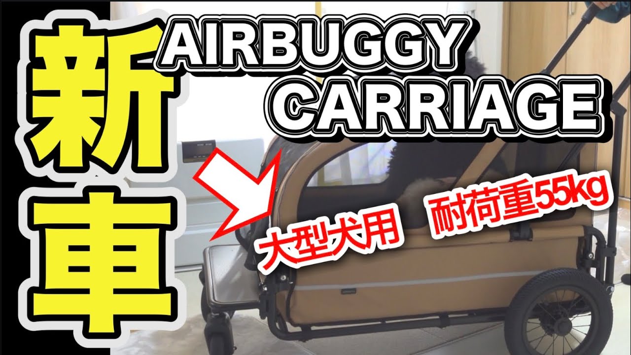 i*a様 AirBuggy for Dog AirBuggy] A high-end stroller for large dogs! I splurged on it