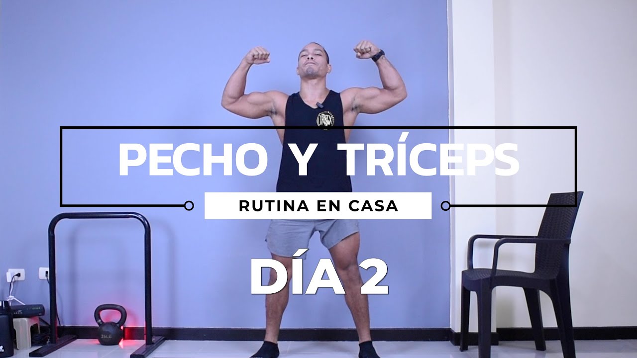 Rutina de Ejercicios Pecho y Tríceps SIN EQUIPO (DÍA 2) - YouTube