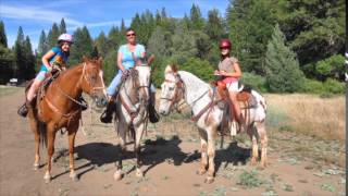 Watch Templeton Thompson Cowgirl Creed video