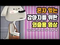 외출 걱정 끝! | 혼자 있는 강아지를 위한 외출용 영상 - Videos for dogs left alone at home