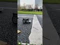 Cutebot Pro&#39;s outdoor marathon #microbit #coding #kidstoys
