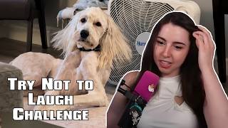 Who is this CUTIE? 🤗 | Try Not to Laugh Challenge