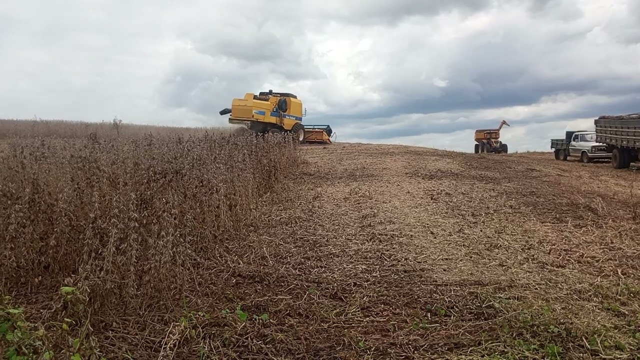 Última colheita de soja 2026