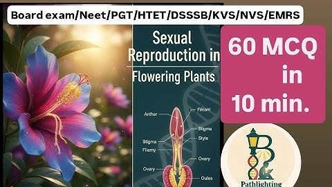 60 MCQs in 10 Minutes | Sexual Reproduction in Flowering Plants (Part2)