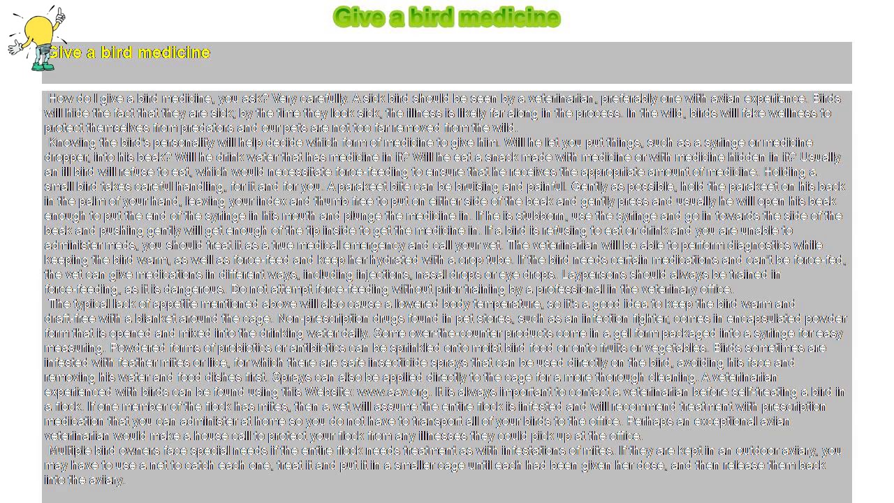 How to Give a bird medicine YouTube