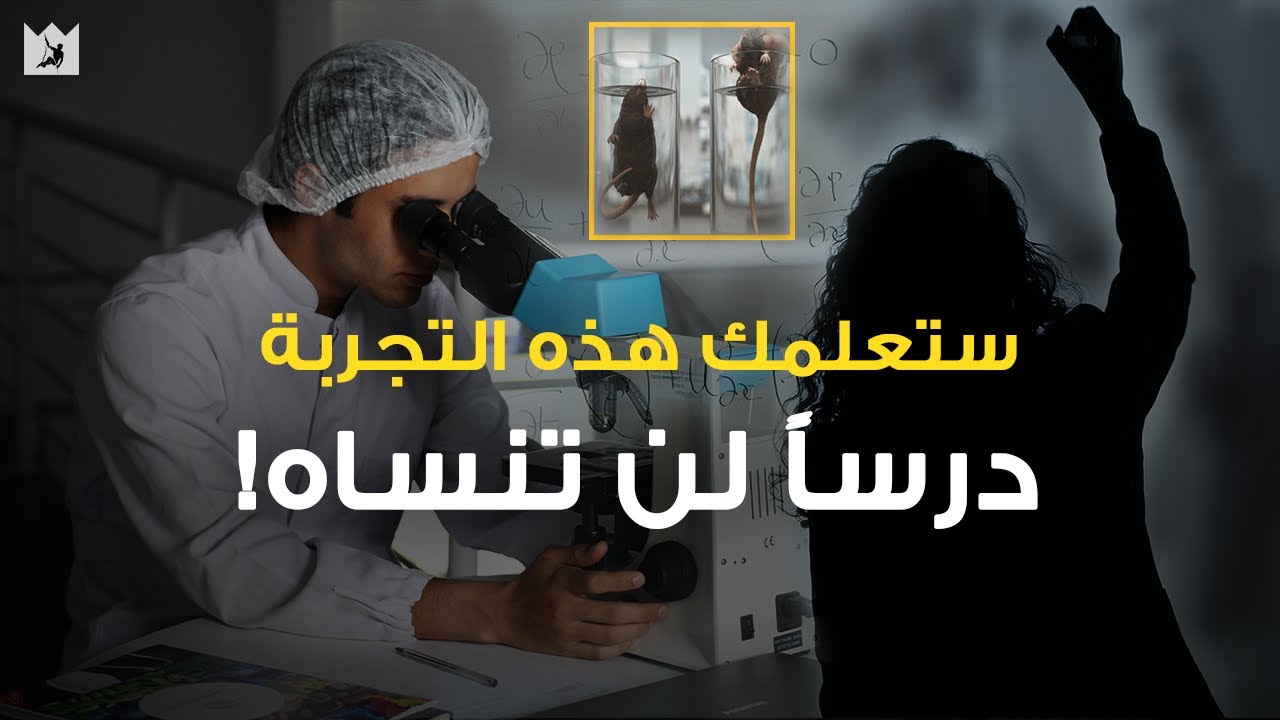 ⁣تجربة علمية صادمة ستعلمك درسًا قويًا عن الحياة (لا تنس قصة الأمل هذه أبداً) مترجم