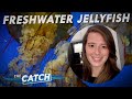Freshwater Jellyfish | The Catch | Great Lakes Now