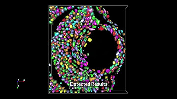 Aivia 6: Automatic 3D Object Detection