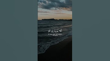 أفلا يتوبون إلى الله ويستغفرونه🌱 #قرآن_كريم #قران #عبدالرحمن_مسعد #تلاوة_هادئة