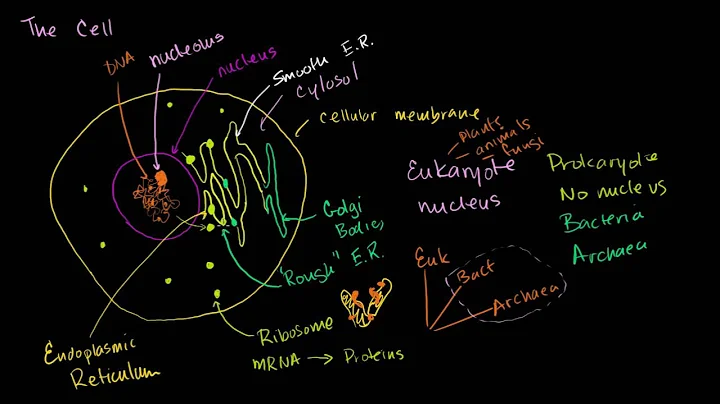 Parts of a cell