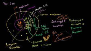 Download lagu Parts of a cell