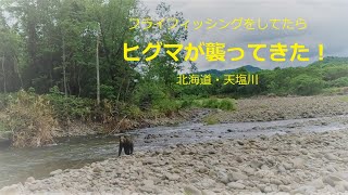 恐怖！ヒグマが4回も向かってきた！！