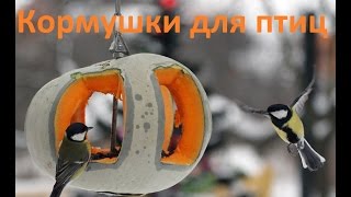 Кормушки для птиц смотреть Кормушки для птиц смотреть