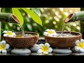 Relaxing Piano Music Bamboo Water Fountain, Sleep Music, Relaxing Music, Meditation Music