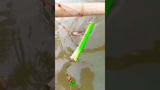 Secret Hook Fishing Trick | 100% Working Method!#HookFishing #Big Fish Catch #Traditional Fishing #